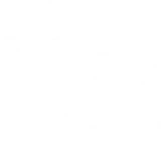 Icono