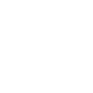 Icono
